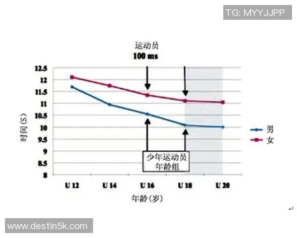 武汉足球队的速度分析与战术应用探讨